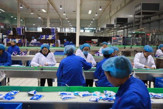 黨員帶頭赴一線  助力春節(jié)保生產—花花牛別樣“生產突擊隊”助力車間生產