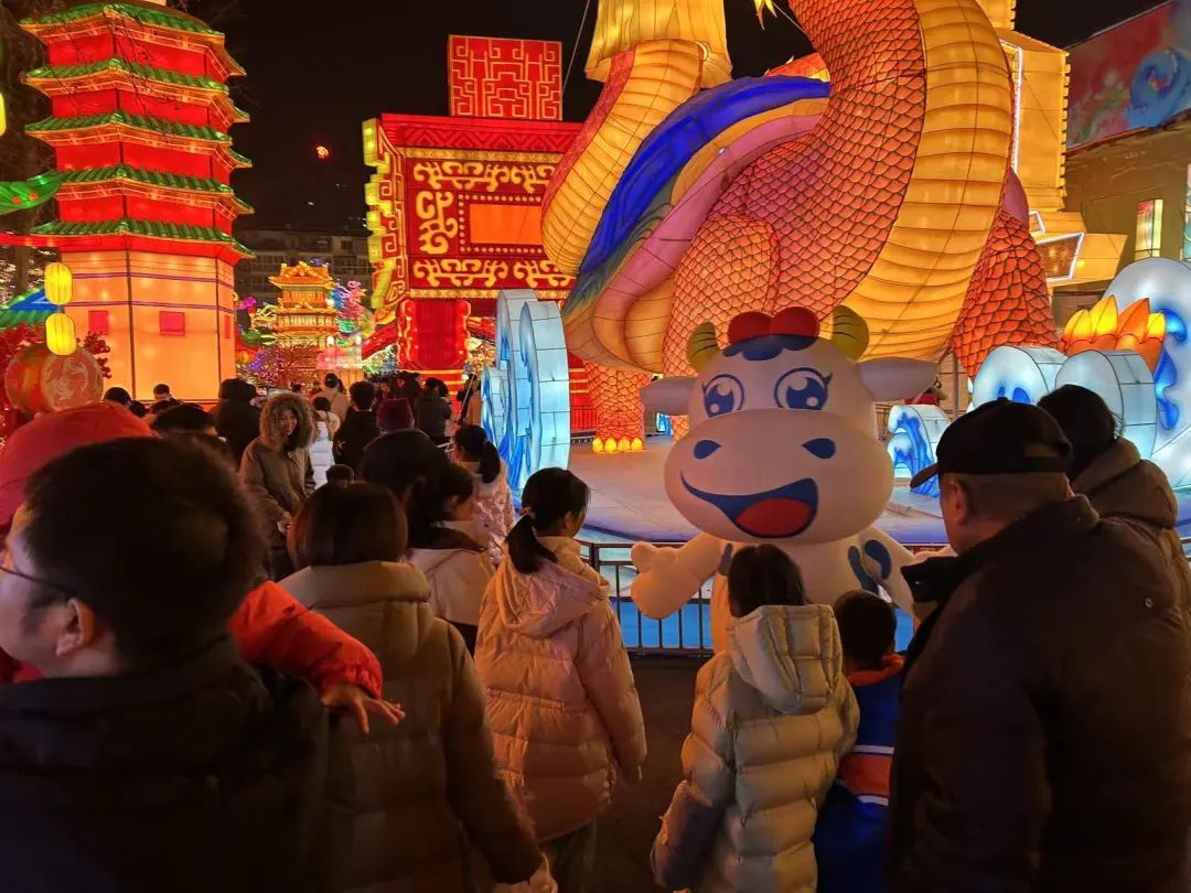 央視直播鄭州龍年燈會迎新春，花花牛品牌上大分