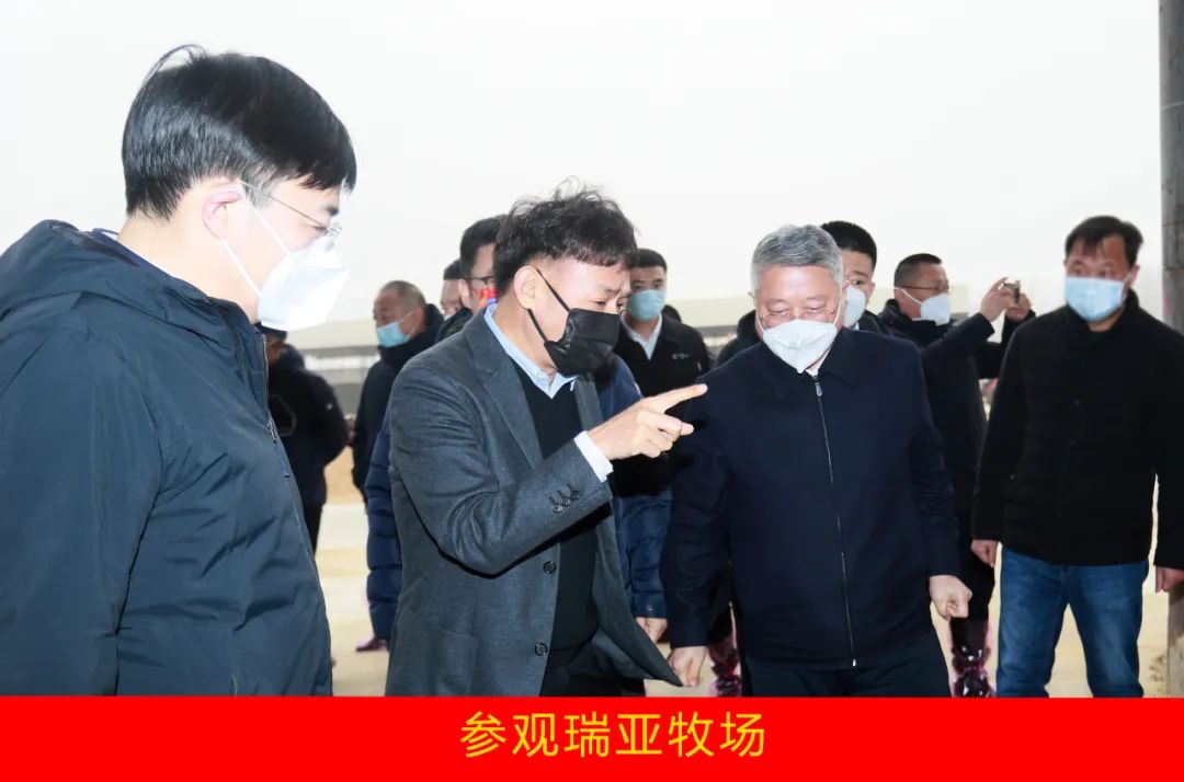 新年開新局 合作促發(fā)展丨佳木斯市委常委、副市長閆志剛一行蒞臨花花牛乳業(yè)集團及佳田企業(yè)考察座談