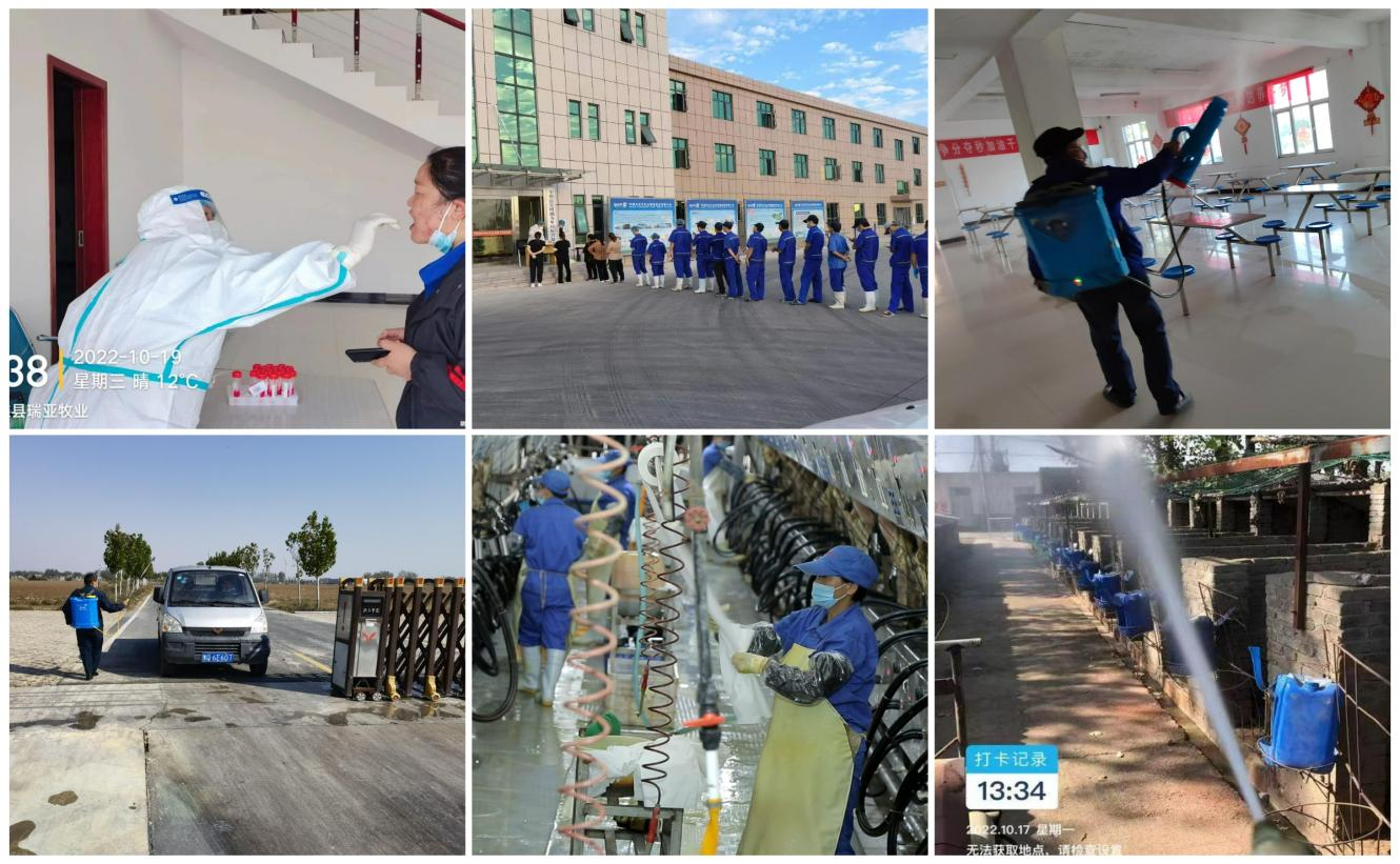 抗疫情、保供應(yīng)、顯擔(dān)當(dāng)——花花牛在行動?。?！