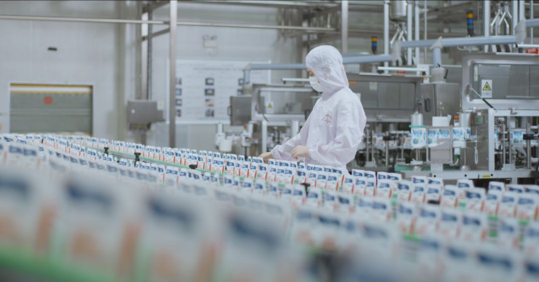 快訊 | 河南省人民政府食品安全委員會辦公室第三批食品安全示范區(qū)驗收組領導蒞臨花花牛乳業(yè)集團驗收食品安全示范區(qū)建設情況