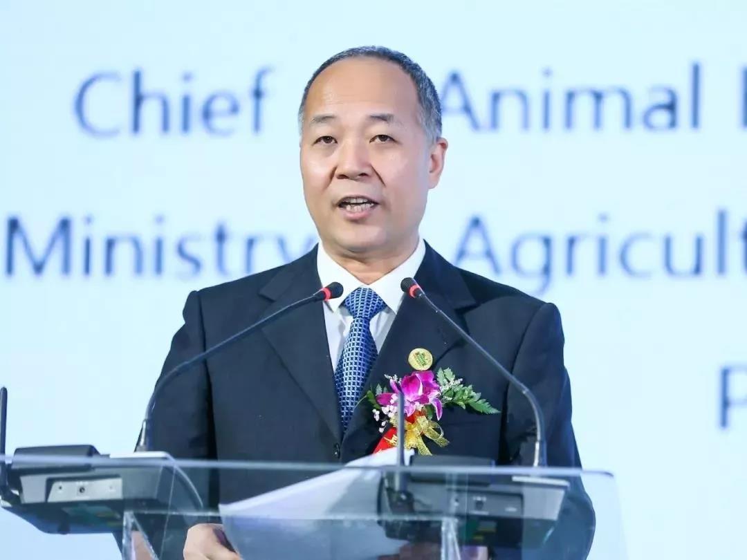 SDDDC走進河南，看看花花牛的國際范兒！