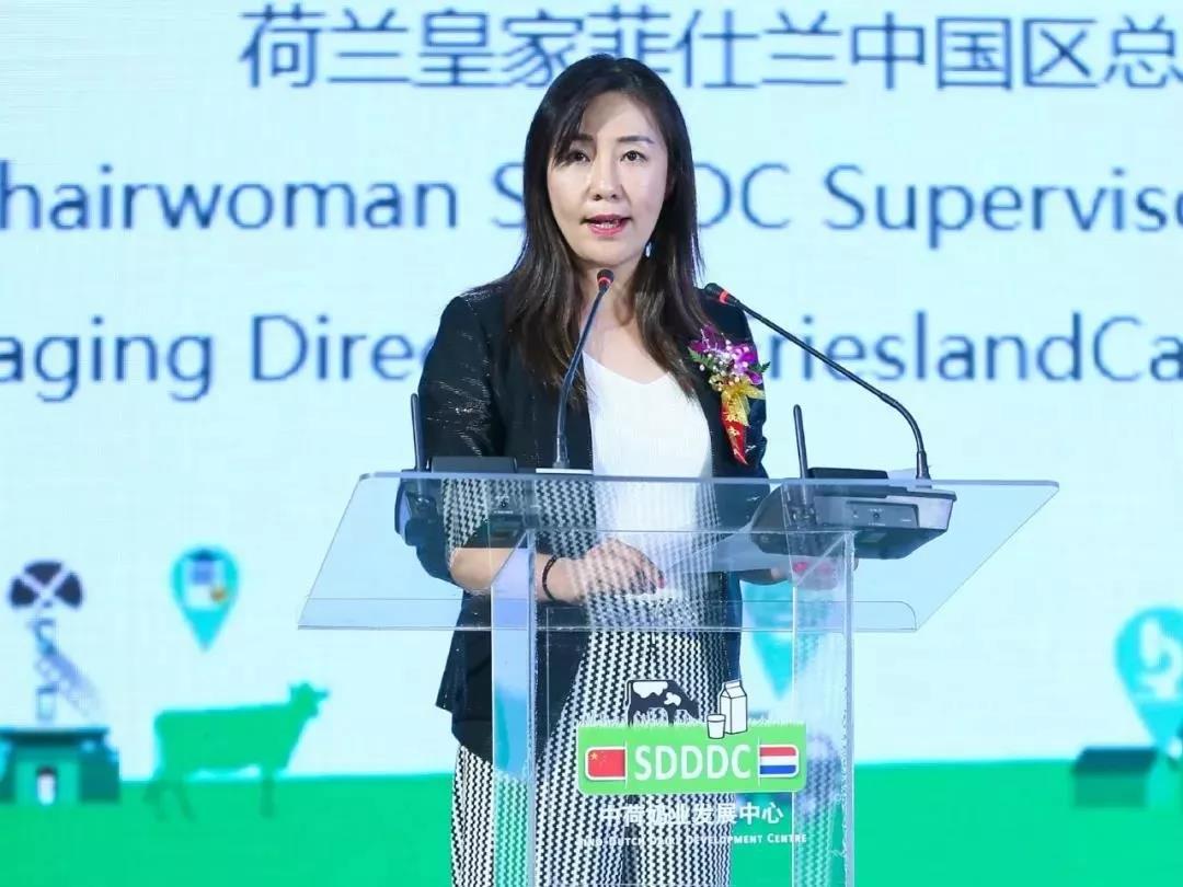 SDDDC走進河南，看看花花牛的國際范兒！