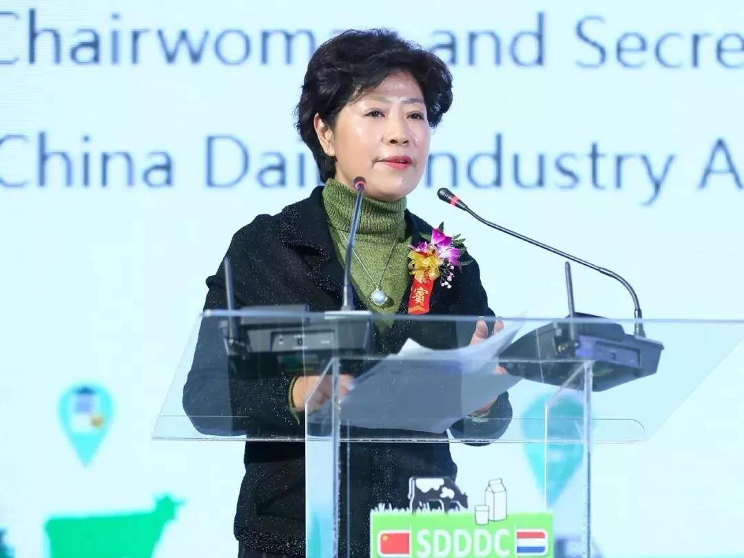 SDDDC走進河南，看看花花牛的國際范兒！