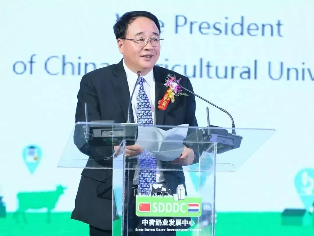 SDDDC走進河南，看看花花牛的國際范兒！