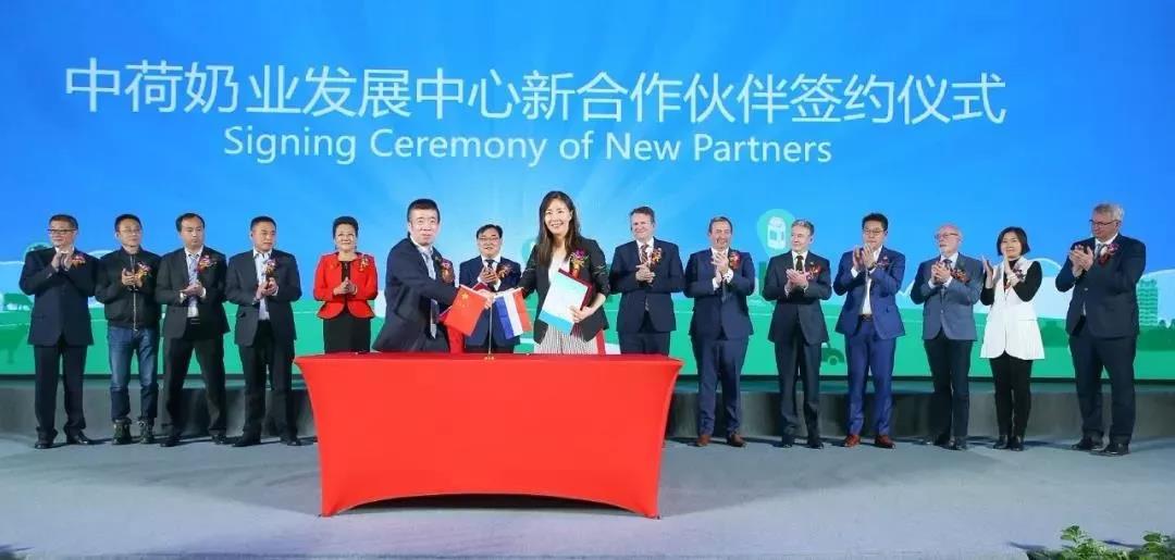 SDDDC走進河南，看看花花牛的國際范兒！