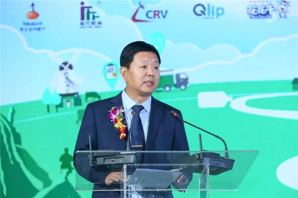 SDDDC走進河南，看看花花牛的國際范兒！