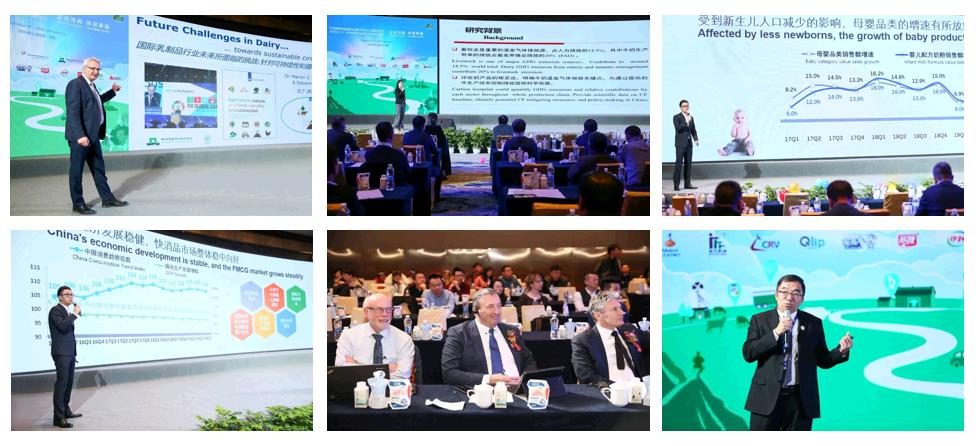 SDDDC走進河南，看看花花牛的國際范兒！