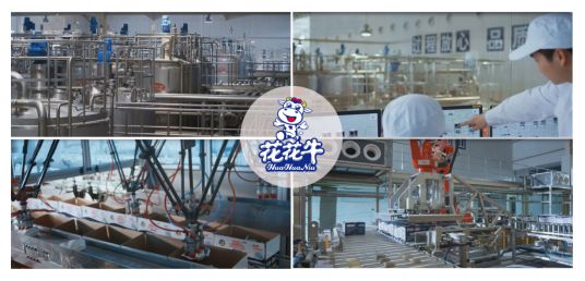 榮獲全國“質(zhì)量月”五項(xiàng)大獎(jiǎng)，花花牛真牛！