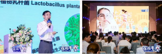 花花牛輕覺上市暨優(yōu)質(zhì)乳工程認證發(fā)布會，盛大啟幕！