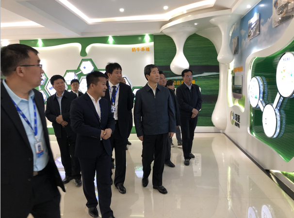 河南省委副書記、省長陳潤兒一行蒞臨 花花牛集團魯山瑞亞牧業(yè)有限公司視察調(diào)研