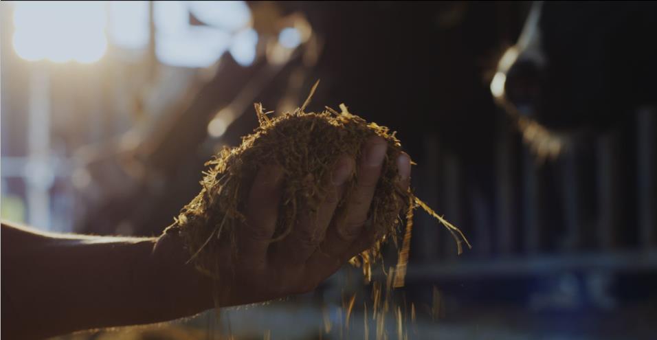 又雙叒叕獲獎(jiǎng)啦！花花牛榮獲“乳品質(zhì)量安全管理 優(yōu)秀企業(yè)”