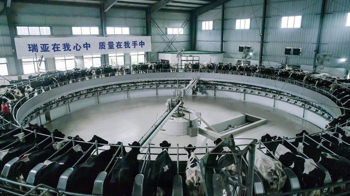 又雙叒叕獲獎(jiǎng)啦！花花牛榮獲“乳品質(zhì)量安全管理 優(yōu)秀企業(yè)”