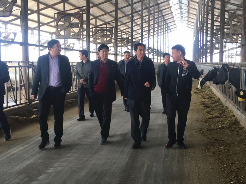 封丘縣縣長王獻臣一行蒞臨 花花牛集團養(yǎng)殖、乳品事業(yè)部參觀調研