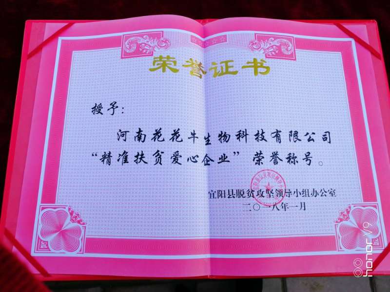 關(guān)愛成長 相伴未來——精準扶貧“暖冬公益行”走進宜陽縣白楊鎮(zhèn)