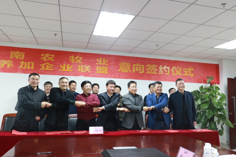 涉農(nóng)企業(yè)強(qiáng)強(qiáng)聯(lián)合，“抱團(tuán)取暖”共迎企業(yè)發(fā)展的春天