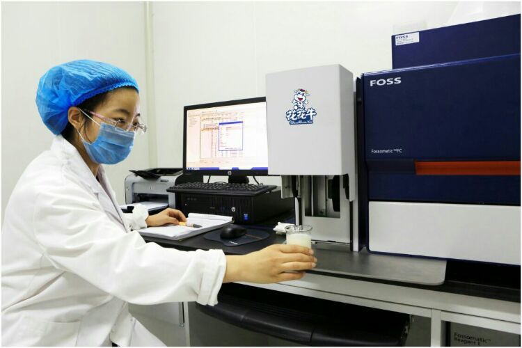 花花牛：務(wù)實、創(chuàng)新領(lǐng)潮市場 大企業(yè)體現(xiàn)大擔(dān)當(dāng)