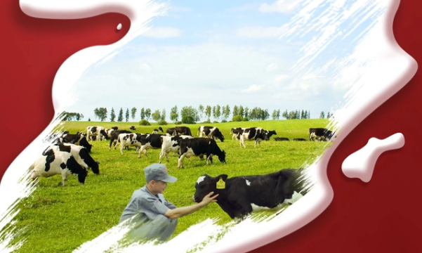 喜報(bào)！花花牛董事長關(guān)曉彥再獲”優(yōu) 秀企業(yè)家”稱號(hào)